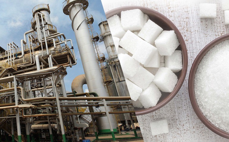 Sugar Export